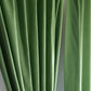 Door Curtain Cotton Solid Green - 52" X 84" (Hidden Loop) (7ft)